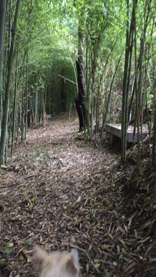 Portas Casina Os Lueiroヴィラ エクステリア 写真